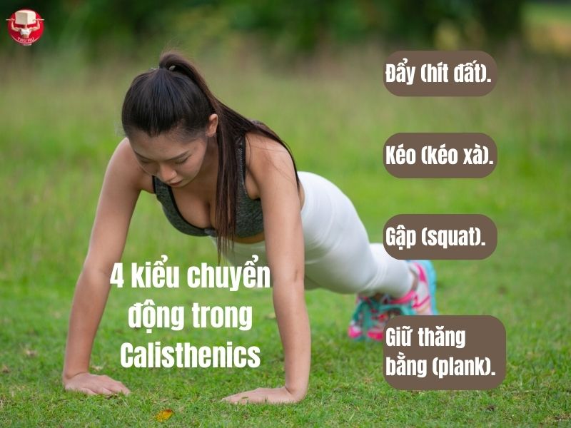Không cần đến tạ hay máy móc phức tạp, Calisthenics tập trung vào 4 kiểu chuyển động cơ bản: đẩy (hít đất), kéo (kéo xà), gập (squat) và giữ thăng bằng (plank)