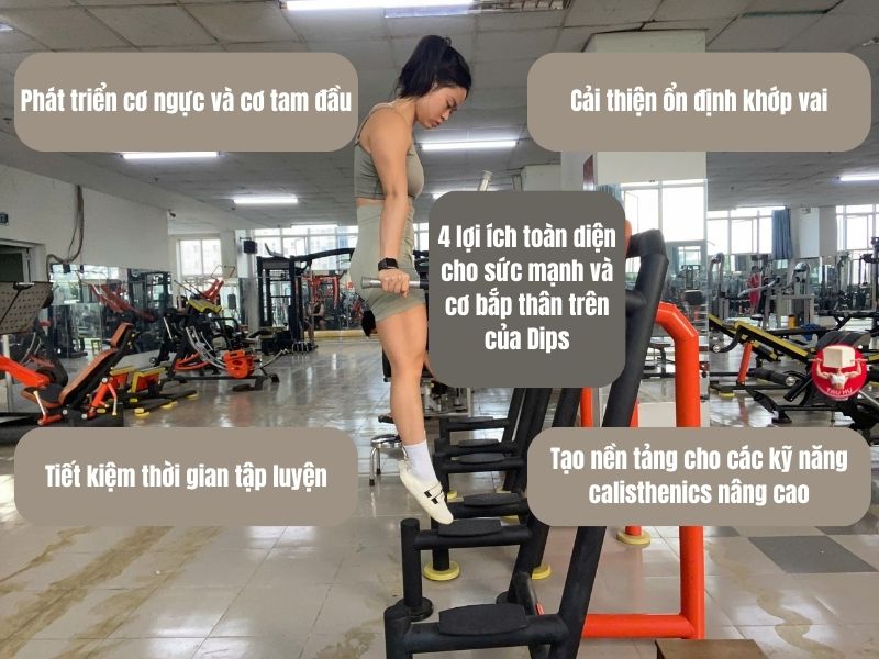 Bài tập Dips mang lại 4 lợi ích vượt trội cho thân trên thông qua việc kích hoạt đồng thời nhiều nhóm cơ lớn