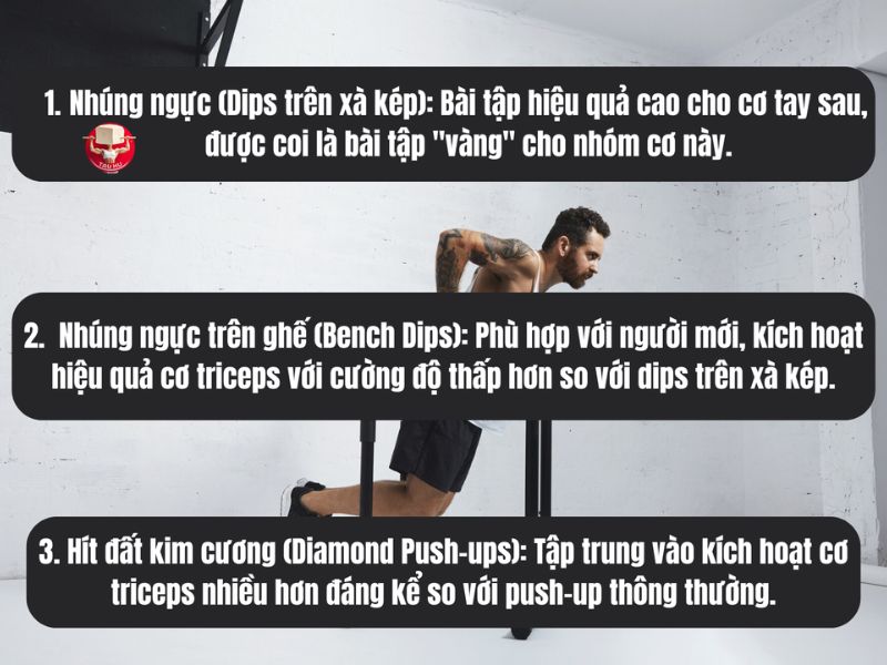 Ba bài tập calisthenics hiệu quả cho cơ tay sau