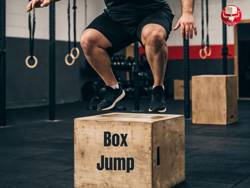 Box Jump ( Nhảy trên ghế/bục) là biến thể squat bùng nổ nâng cao, yêu cầu sức bật lớn