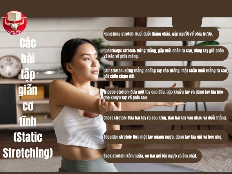 Bảy động tác giãn cơ tĩnh sau khi tập luyện giúp tăng hiệu quả phục hồi cơ bắp