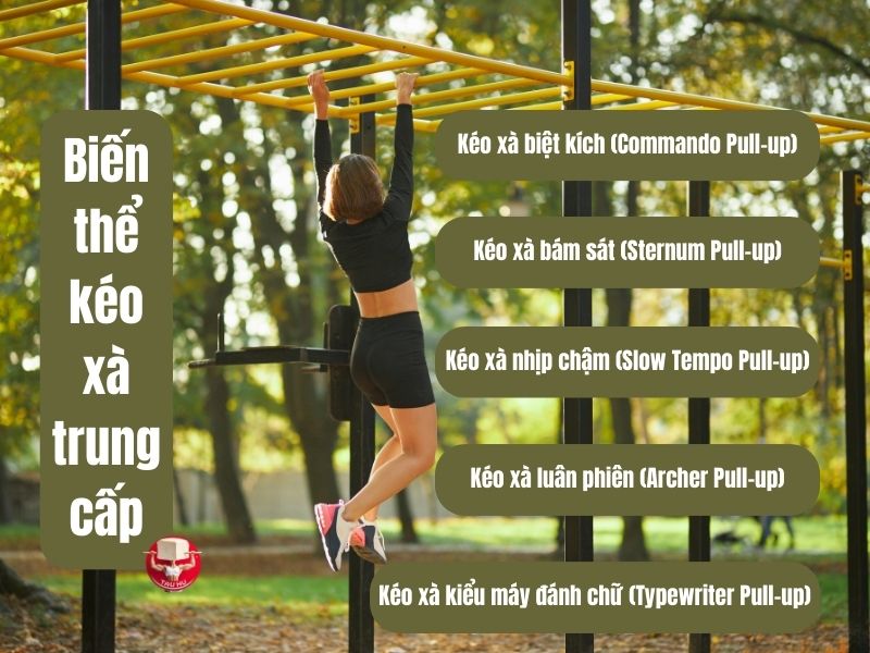 5 biến thể trung cấp trong kéo xà thường có độ khó từ 6,0-7,5/10, phù hợp cho người đã thành thạo các kỹ thuật cơ bản và muốn tiến bộ thêm