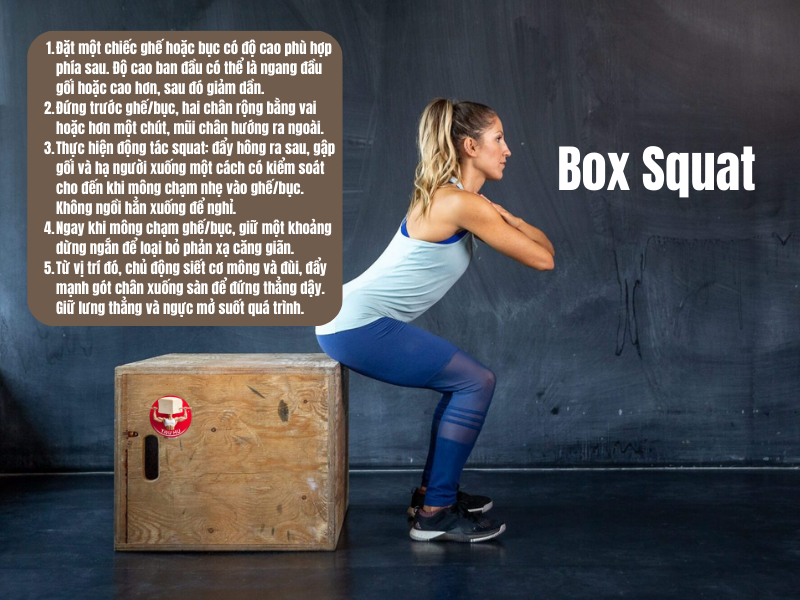 5 bước thực hiện kỹ thuật Squat với bục/ghế (Box squat)