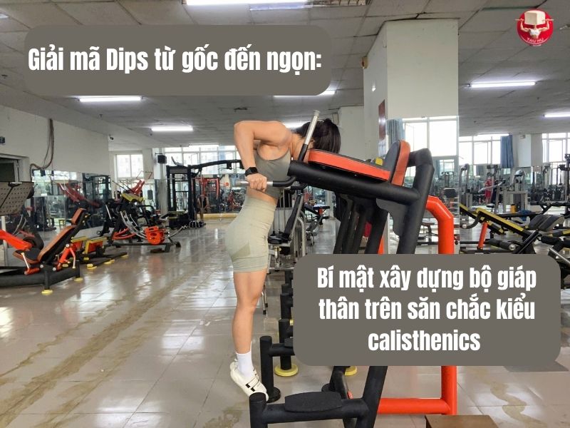 Giải mã Dips từ gốc đến ngọn: Bí mật xây dựng bộ giáp thân trên săn chắc kiểu calisthenics