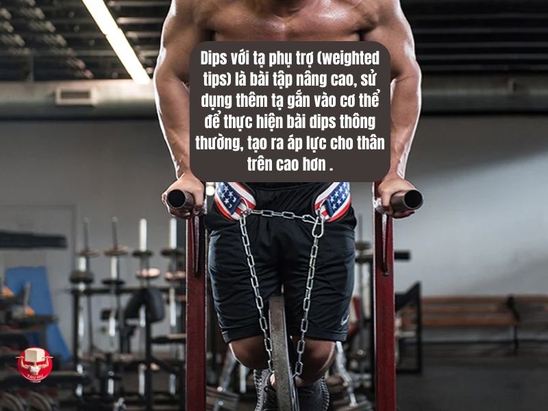 Dips với tạ trợ lực là biến thể nâng cao của bài dips tiêu chuẩn, được thực hiện bằng cách gắn thêm tạ vào người