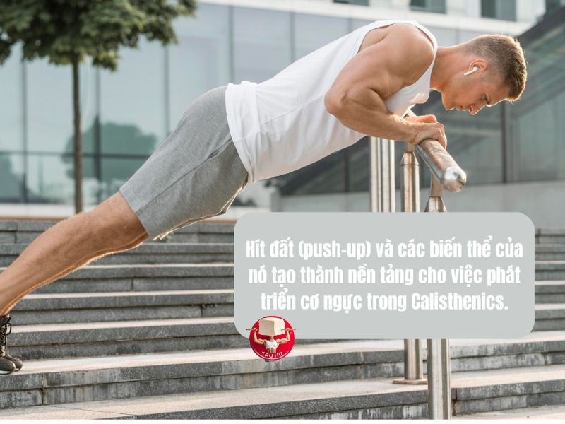 Hít đất - Bài tập nền tảng trong phát triển nhóm cơ ngực