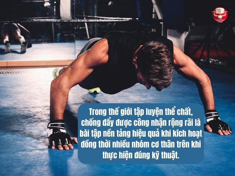 Chống đẩy (hít đất) đóng vai trò quan trọng trong các bài tập nền tảng Calisthenics