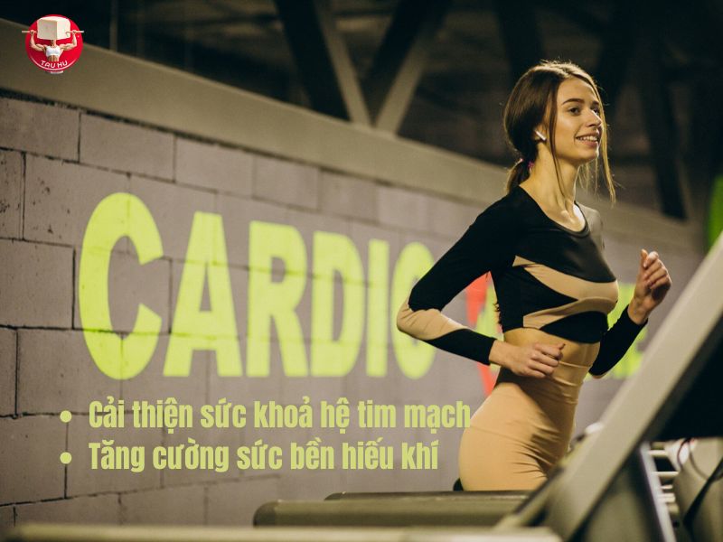 Bài tập cardio giúp cải thiện sức khỏe hệ tim mạch và tăng cường sức bền hiếu khí – thể hiện qua chỉ số về khả năng hấp thụ oxy tối đa của cơ thể