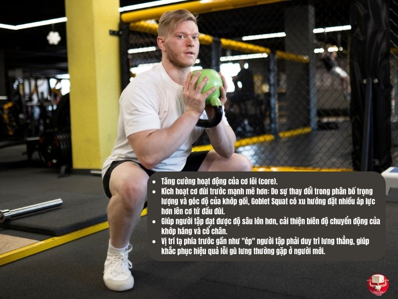 Goblet Squat mang lại nhiều lợi ích đáng kể so với squat thông thường