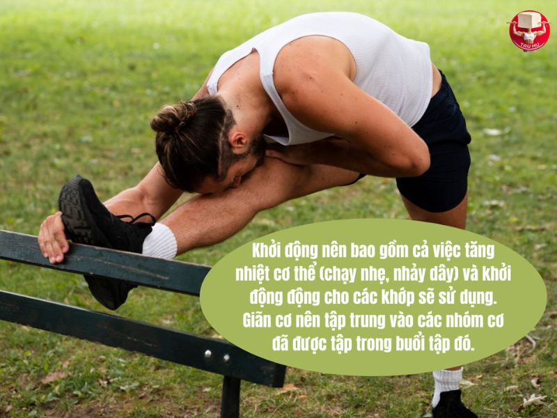 Lời khuyên thiết thực về việc khởi động và giãn cơ trước và sau khi tập calisthenics
