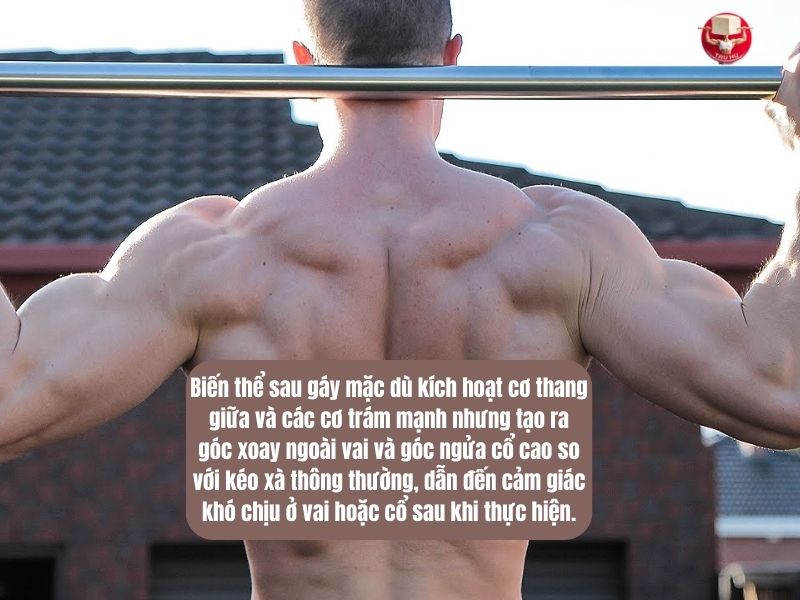Kéo xà sau gáy giúp phát triển thân trên mạnh nhưng dễ gây chấn thương cho phần khớp vai và khớp cổ