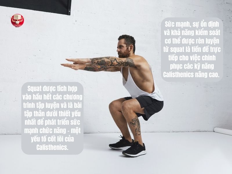 Squat - Bài tập thiết yếu phát triển sức mạnh và làm chủ kỹ năng trong Calisthenics