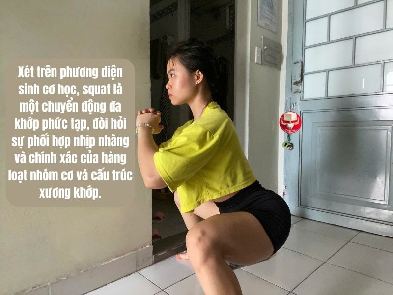 Khi thực hiện một động tác squat tiêu chuẩn, nhiều nhóm cơ được kích hoạt đồng thời với cường độ khác nhau