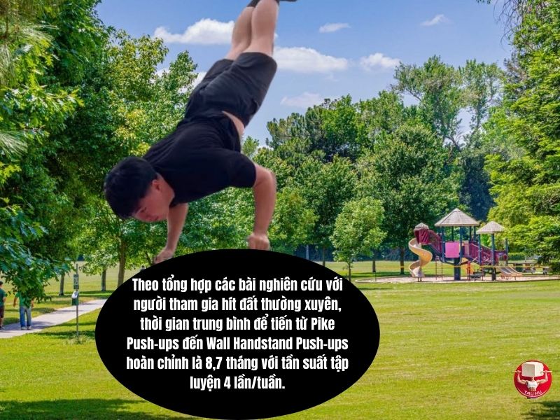 Thời gian trung bình để chuyển từ hít đất chữ V (Pike Push-ups) sang hít đất trồng chuối dựa tường (Wall Handstand Push-ups)
