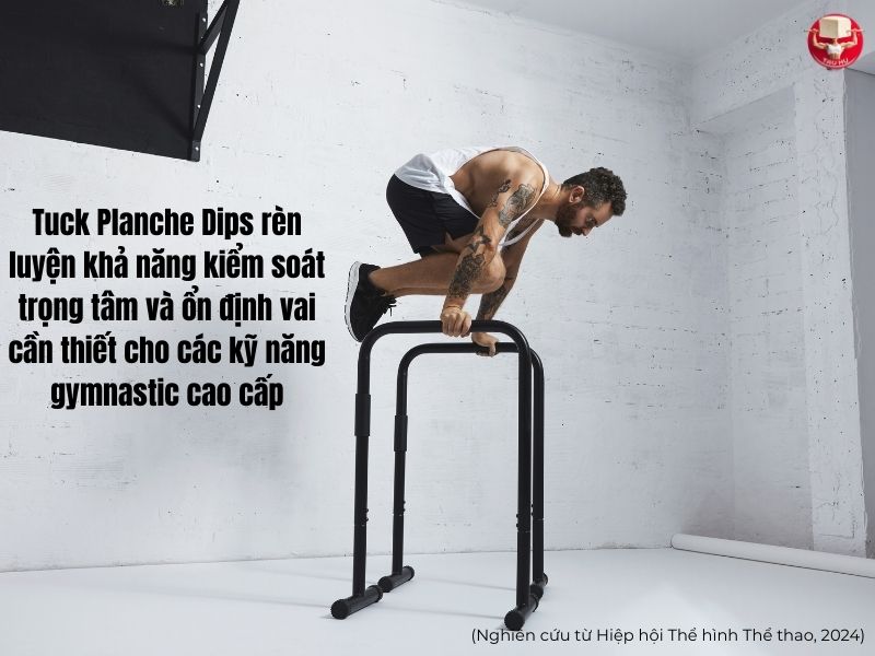 Biến thể Tuck Planche Dips cần thiết cho các kỹ năng cao cấp