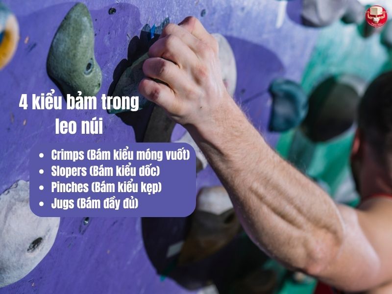 4 kiểu bảm trong leo núi - mỗi kiểu đòi hỏi một dạng sức mạnh và kỹ thuật cầm nắm riêng biệt