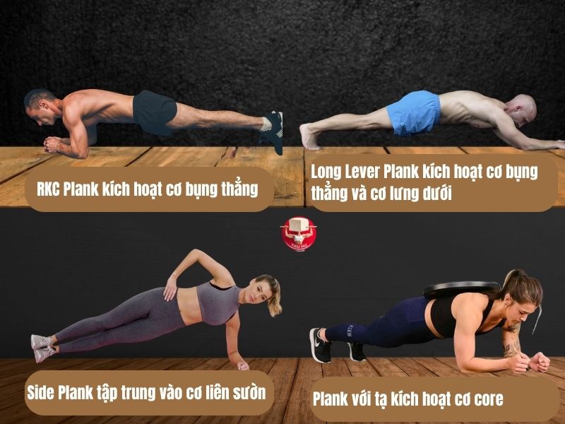 4 biến thể Plank phổ biến và vùng cơ được kích hoạt