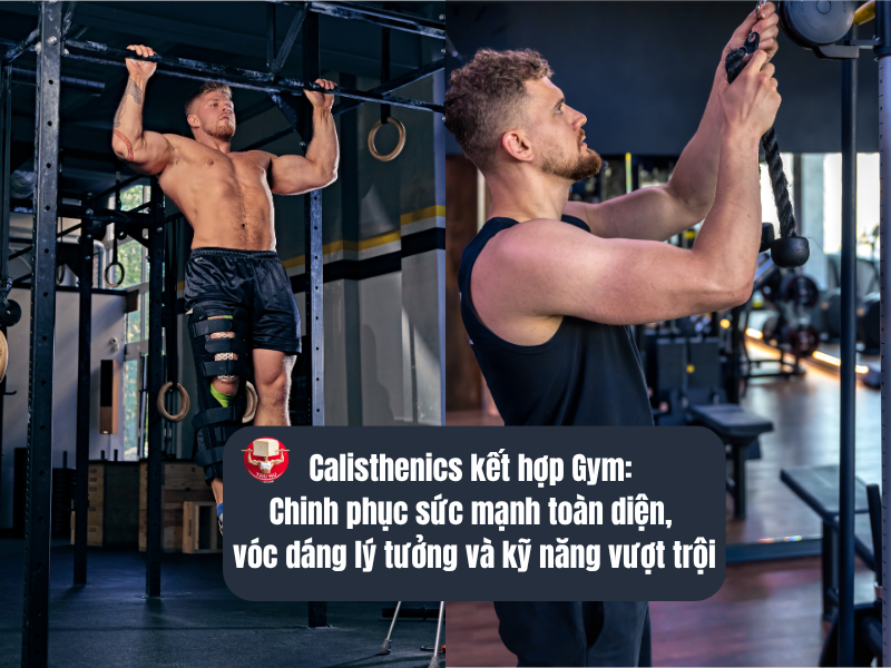 Calisthenics kết hợp Gym: Chinh phục sức mạnh toàn diện, vóc dáng lý tưởng và kỹ năng vượt trội