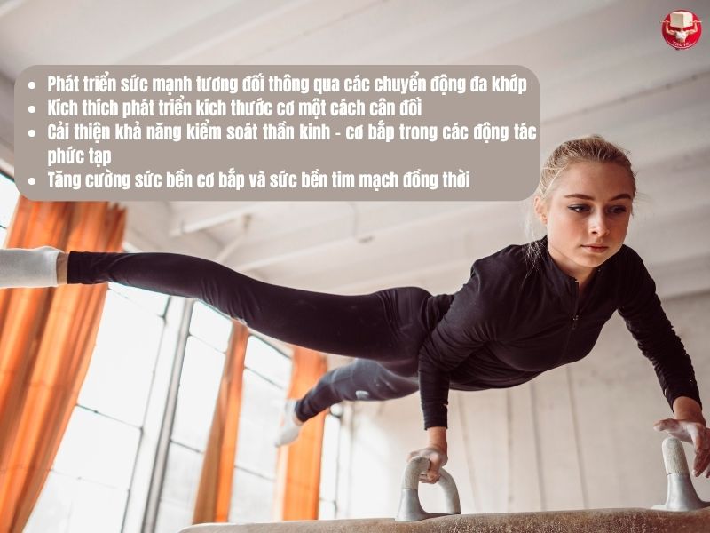 Calisthenics mang lại 4 lợi ích chính (Theo nhóm nghiên cứu thuộc Viện Nghiên cứu Khoa học Thể thao, 2023)