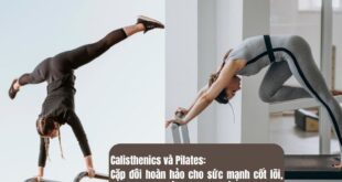 Calisthenics và Pilates: Cặp đôi hoàn hảo cho sức mạnh cốt lõi, linh hoạt và kiểm soát cơ thể tối ưu
