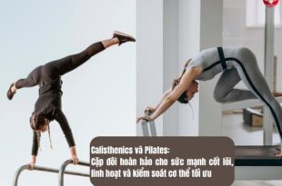 Calisthenics và Pilates: Cặp đôi hoàn hảo cho sức mạnh cốt lõi, linh hoạt và kiểm soát cơ thể tối ưu
