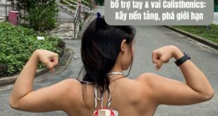 Công thức toàn diện về bài tập bổ trợ tay & vai Calisthenics: Xây nền tảng, phá giới hạn