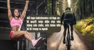 Kết hợp Calisthenics và Đạp xe: Bí quyết toàn diện cho vóc dáng săn chắc, sức khỏe bền bỉ từ trong ra ngoài