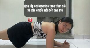 Lịch tập Calisthenics theo trình độ: Từ tấm chiếu mới đến cao thủ