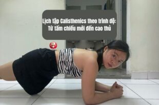 Lịch tập Calisthenics theo trình độ: Từ tấm chiếu mới đến cao thủ