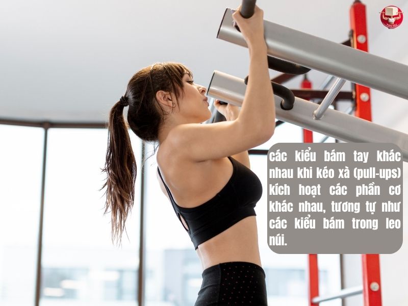 Kéo xà giúp kích hoạt các phần cơ khác nhau, từ đó phát triển sức mạnh bám trong leo núi