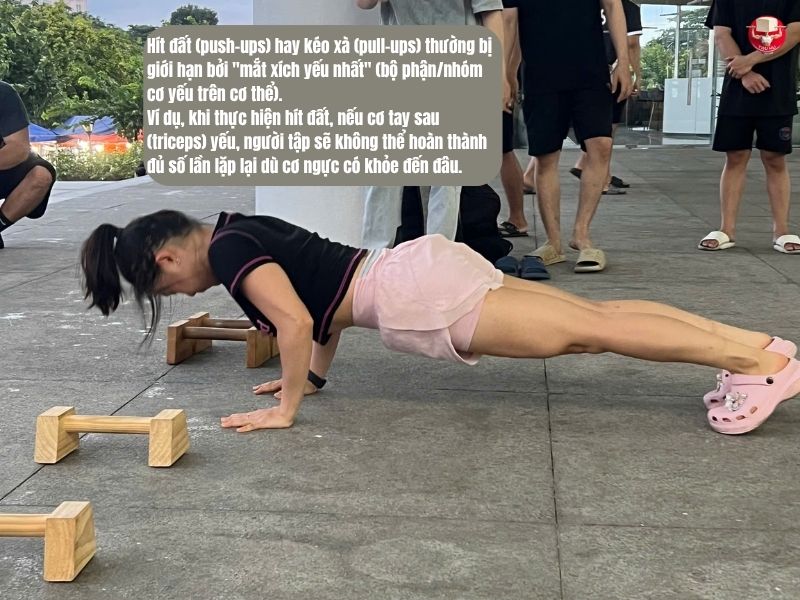 Các bài tập phức hợp như hít đất (push-ups) hay kéo xà (pull-ups) thường bị giới hạn bởi "mắt xích yếu nhất" trong chuỗi động học