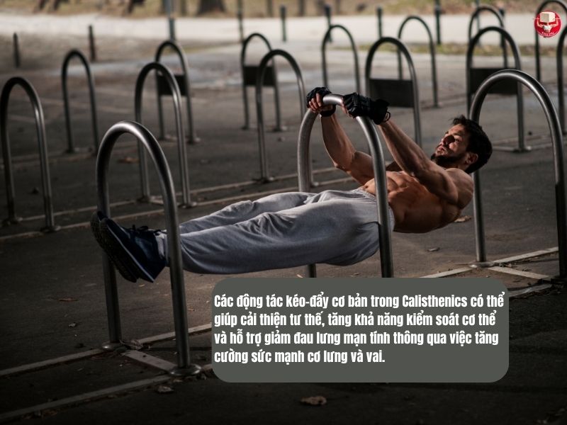 Calisthenics mang lại nhiều lợi ích trong việc phát triển khả năng kiểm soát cơ thể (proprioception) và cải thiện các hoạt động chức năng hàng ngày