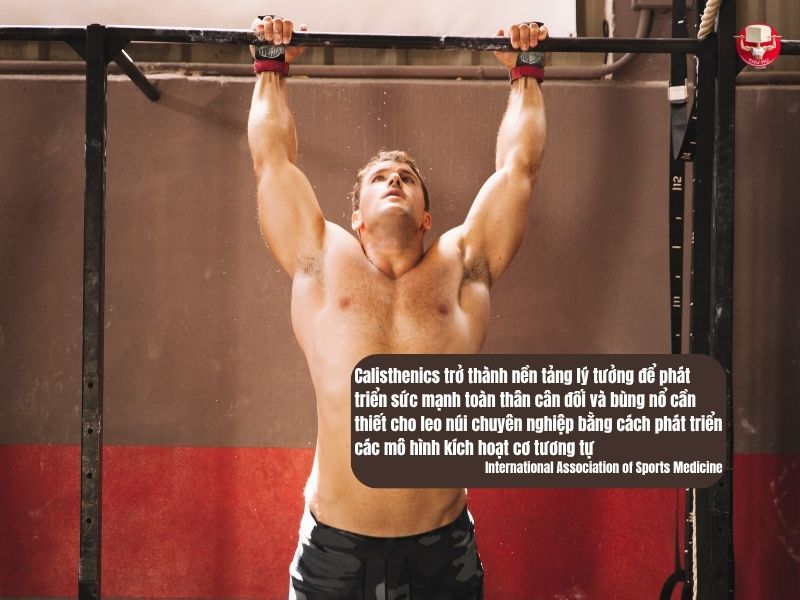 Tập luyện chéo với calisthenics có thể tăng cường hiệu suất leo núi bằng cách phát triển các mô hình kích hoạt cơ tương tự