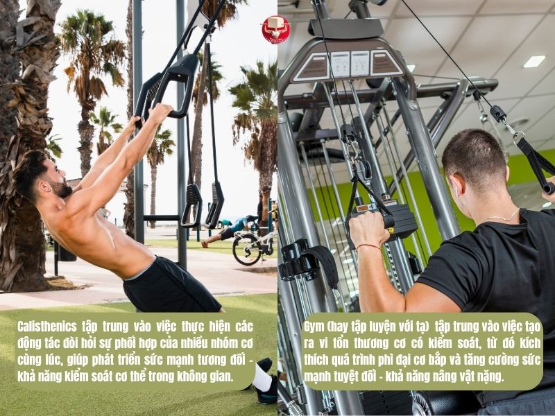 Calisthenics và Gym có sự tác động lên cơ thể khác nhau