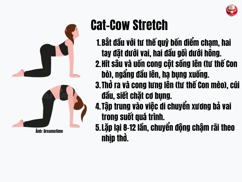 5 bước thực hiện tư thế Bò- Mèo