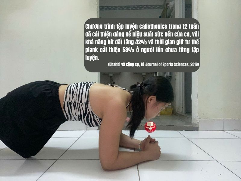 Các mẫu lịch tập luyện calisthenics cải thiện sức bền của cơ bếp và khả năng hoàn thành các bài tập cơ bản