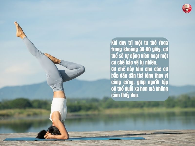 Quá trình này tác động đến cơ bắp và cải thiện tính đàn hồi của các lớp mô liên kết bao quanh cơ và nội tạng