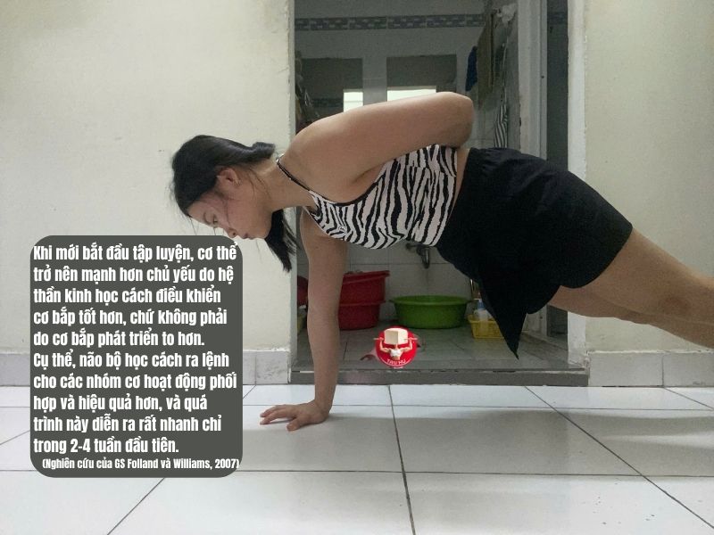 Cơ thể trở nên mạnh nhờ não bộ ra lệnh cho các nhóm cơ hoạt động phối hợp và hiệu quả hơn
