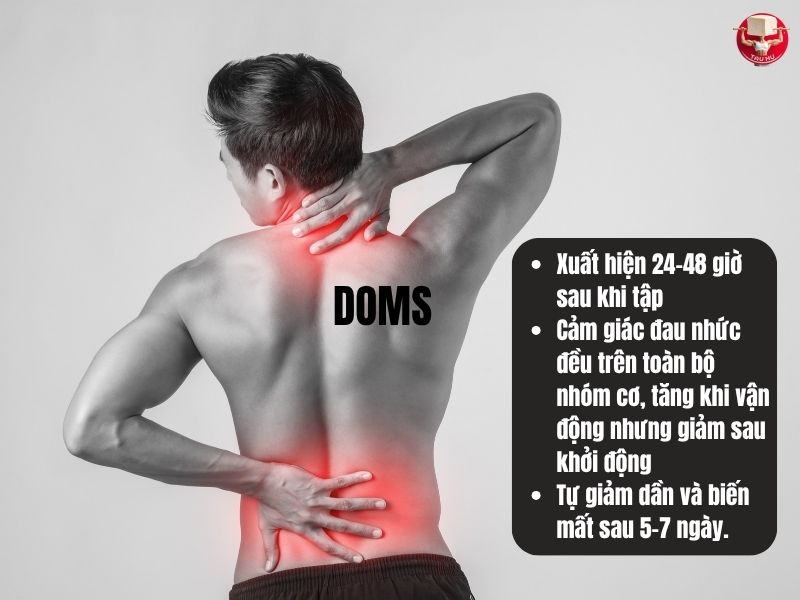 3 đặc điểm của DOMS (Đau nhức cơ bắp trì hoãn)