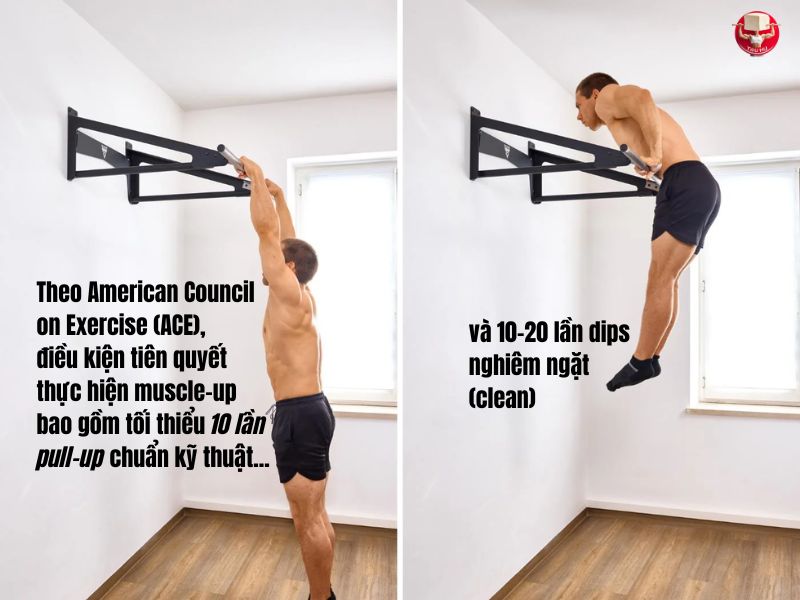 Điều kiện tập muscle-up bao gồm số lượng kéo xà (pull-ups) và dips tối thiểu