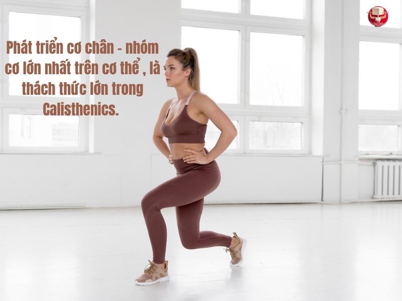 Kích thích sự phát triển của một trong những là nhược điểm của Calisthenics có thể được bù đắp thông qua Gym