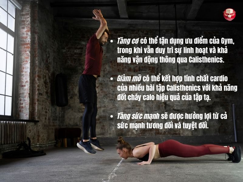 Đặc biệt, phương pháp kết hợp Calisthenics và Gym phù hợp với nhiều mục tiêu khác nhau