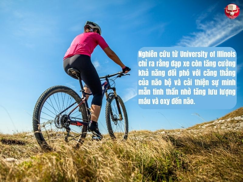 Theo nhiều nghiên cứu tổng hợp, đạp xe mang lại lợi ích cho não bộ