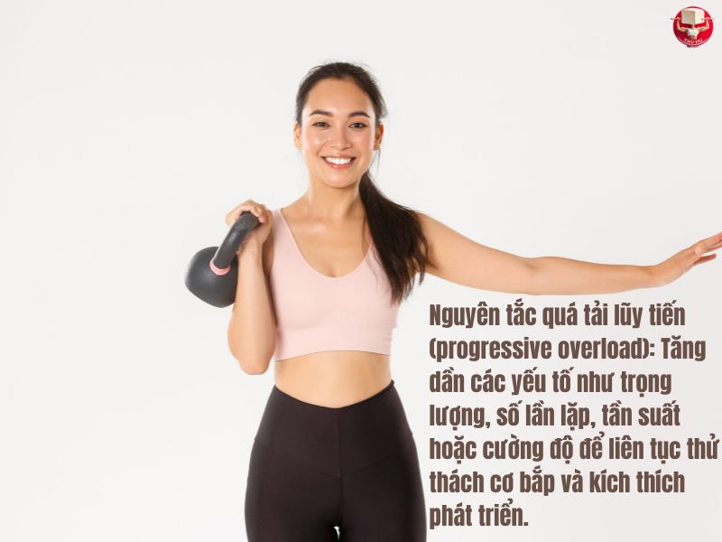 Nguyên tắc quá tải lũy tiến đóng vai trò quan trọng trong giai đoạn bài tập nâng cao