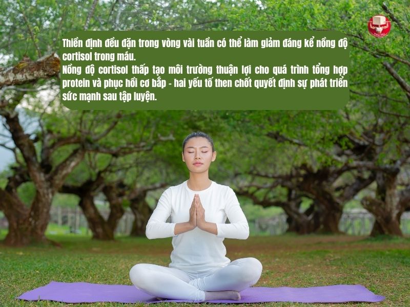 Nhiều nghiên cứu đã ghi nhận rằng việc thực hành thiền định đều đặn có thể làm giảm đáng kể nồng độ cortisol trong máu - ý nghĩa quan trọng đối với người tập thể hình