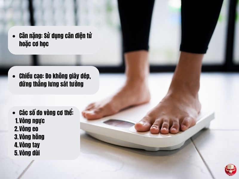 Tính toán calo cho người tập Calisthenics: Ăn bao nhiêu để đạt mục tiêu? 18 3 chỉ số cơ bản cần đo trên cơ thể