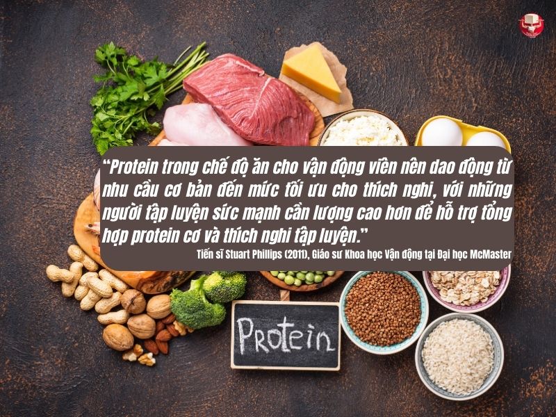 Lượng protein nên được điều chỉnh khác nhau tuỳ theo từng đối tượng và mục tiêu