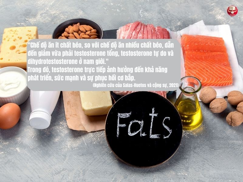 Testosterone ảnh hưởng đến sự phát triển cơ bắp, sức mạnh và sự phục hồi - những yếu tố then chốt trong Calisthenics