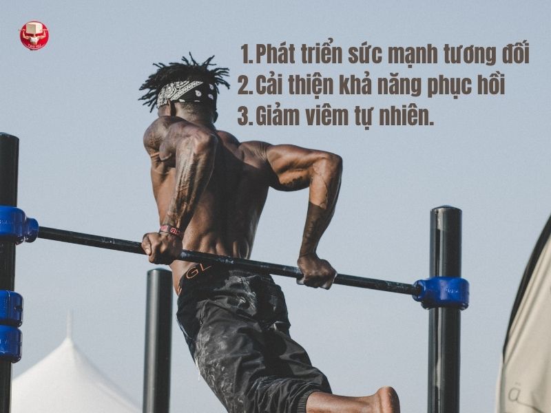 Calisthenics thuần chay: Bí kíp xây dựng cơ bắp và phục hồi hiệu quả từ thực vật 11 3 lợi ích vượt trội khi Calisthenics kết hợp chế độ ăn thuần chay