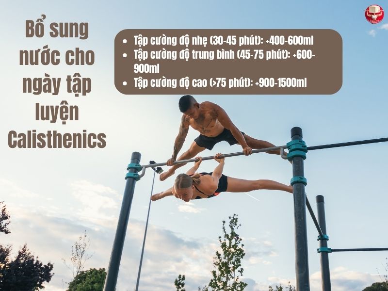 Bổ sung nước cho ngày tập luyện Calisthenics theo từng cường độ tập luyện